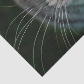 Mousseline Papier tissu McGonagall pour chat (Détail)