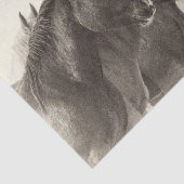 Mousseline Papier Tissu Mustang Cheval vintage (Détail)