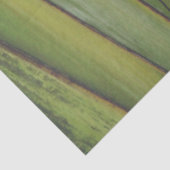 Mousseline Papier Tissu Palm Traveller (Détail)