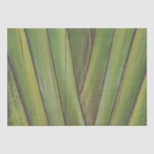 Mousseline Papier Tissu Palm Traveller