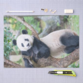 Mousseline Papier Tissu Panda Géant / Papier Découpage (Artisanat)