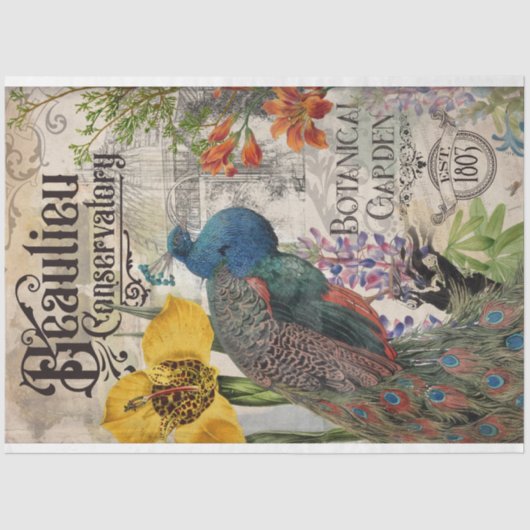 Mousseline Papier Tissu Peacock vintage (Recto)