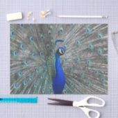 MOUSSELINE PAPIER TISSU PHOTO PEACOCK (Artisanat)