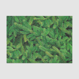 Mousseline Papier Tissu Pine Blanche