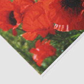 Mousseline Papier Tissu Poppy (Détail)