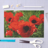 Mousseline Papier Tissu Poppy (Artisanat)
