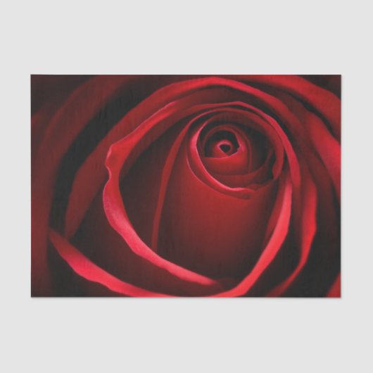 Mousseline Papier Tissu Red Rose Custom 10lb, blanc (Recto)