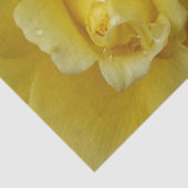 Mousseline Papier Tissu Rose jaune (Détail)