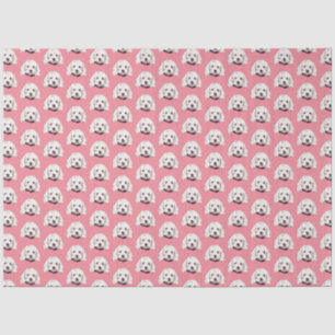 Mousseline Papier Tissu Rose Pis Fille Maltais Blanc