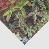 Mousseline Papier Tissu Succulent (Détail)