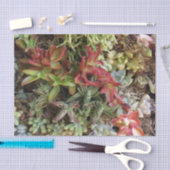 Mousseline Papier Tissu Succulent (Artisanat)