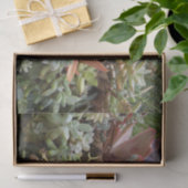 Mousseline Papier Tissu Succulent (Cadeau)