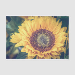 Mousseline Papier Tissu Tournesol