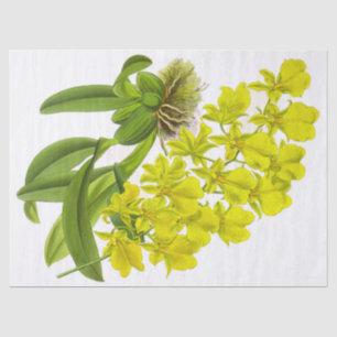 Mousseline Papier Tissu vintage jaune orchidée