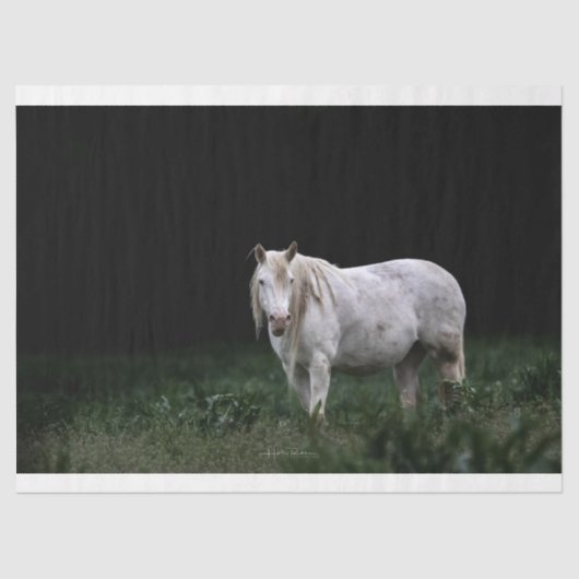 Mousseline Papier Tissu Wild Horse (Recto)