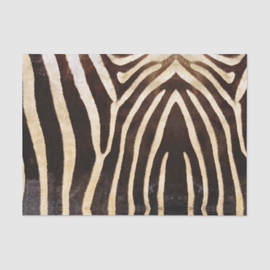 Mousseline Papier Tissu Zebra Skin (Recto)