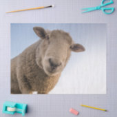 Mousseline Papier Tissue Hi (Artisanat)