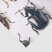 Mousseline Papier tissulaire de coléoptère (Détail)