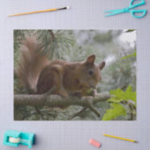 Mousseline papier tissulaire d'écureuil de pin (Artisanat)