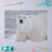 Mousseline papier tissulaire d'ours arctique (Artisanat)