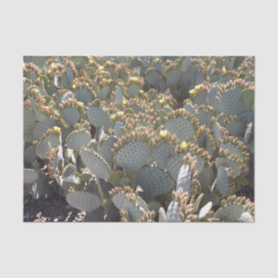 Mousseline Papier Tissus Cactus