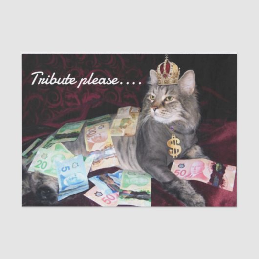 Mousseline Papier Tissus Cat (Recto)