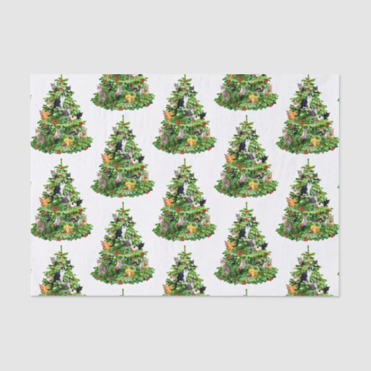 Mousseline Papier Tissus de l'arbre du chat (Recto)