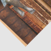 Mousseline Papier Tissus Lover Livre (Détail)