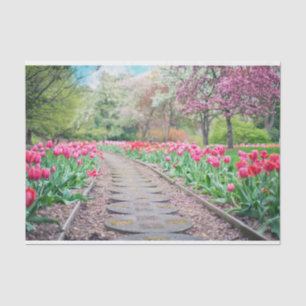 Mousseline Papier Tissus Tulip Path pittoresque