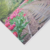 Mousseline Papier Tissus Tulip Path pittoresque (Détail)