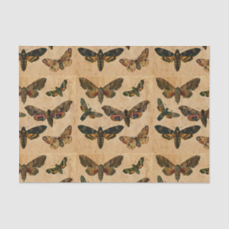 Mousseline Papillons noirs Vintage papier coloré Découpage