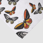 Mousseline Papillons partout enveloppant du papier (Détail)