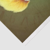 Mousseline Parrot Steampunk 3 découpage papier (Détail)