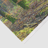 Mousseline Paysage forestier 25 Découpage Papier de tissus (Détail)