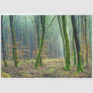 Mousseline Paysage forestier 25 Découpage Papier de tissus
