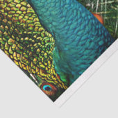 Mousseline Peacock Birds Wall Art Decoupage Tissu Papier (Détail)