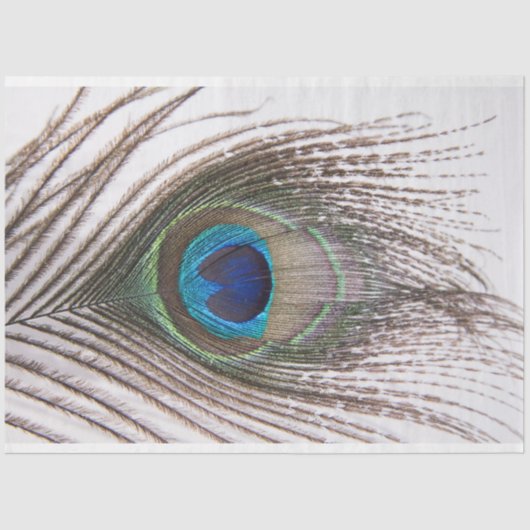Mousseline Peacock Feed 3 Decoupage Tissu Papier (Recto)