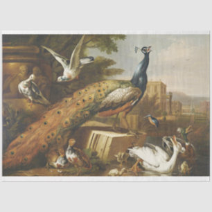 Mousseline Peinture Peacock Antique Découpage Papier de tissu