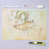 Mousseline Peter Rabbit 2 Papier papier (Artisanat)