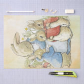 Mousseline Peter Rabbit 8 Papier de tissus (Artisanat)