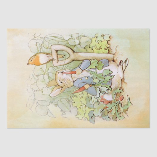 Mousseline Peter Rabbit (carotte) Tissu Papier (Recto)