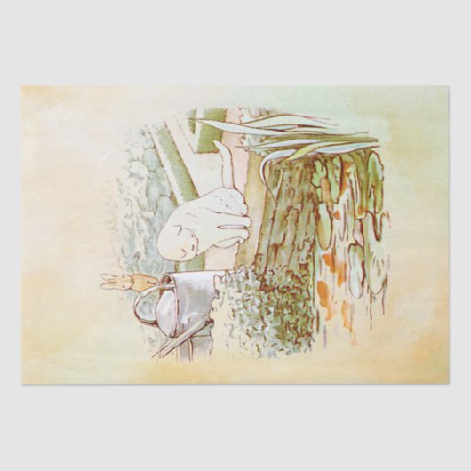 Mousseline Peter Rabbit (chat) Papier de tissus (Recto)
