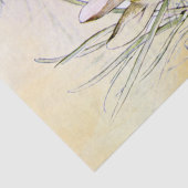 Mousseline Peter Rabbit (oignon) Tissu Papier (Détail)