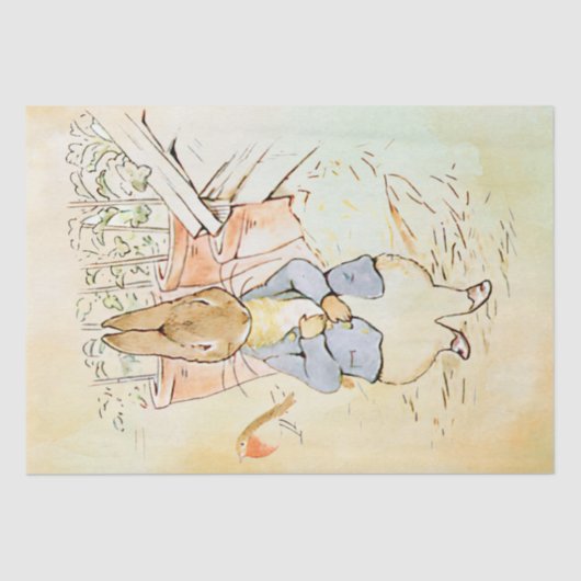 Mousseline Peter Rabbit (oiseau) Tissu Papier (Recto)