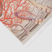 Mousseline Pieuvre, coquilles de corail rose boussole papier (Détail)