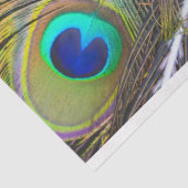 Mousseline Plumes de paon 1 papier de papier de découpage (Détail)