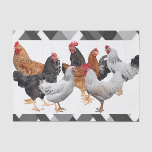 Mousseline Poulet de papier de tissus (Recto)