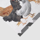 Mousseline Poulet de papier de tissus (Détail)