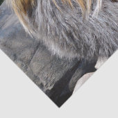 Mousseline Poulet moche, Papier Tissu (Détail)