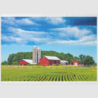 Mousseline Red Barne Tissu Déchoupage Papier de ferme Champ
